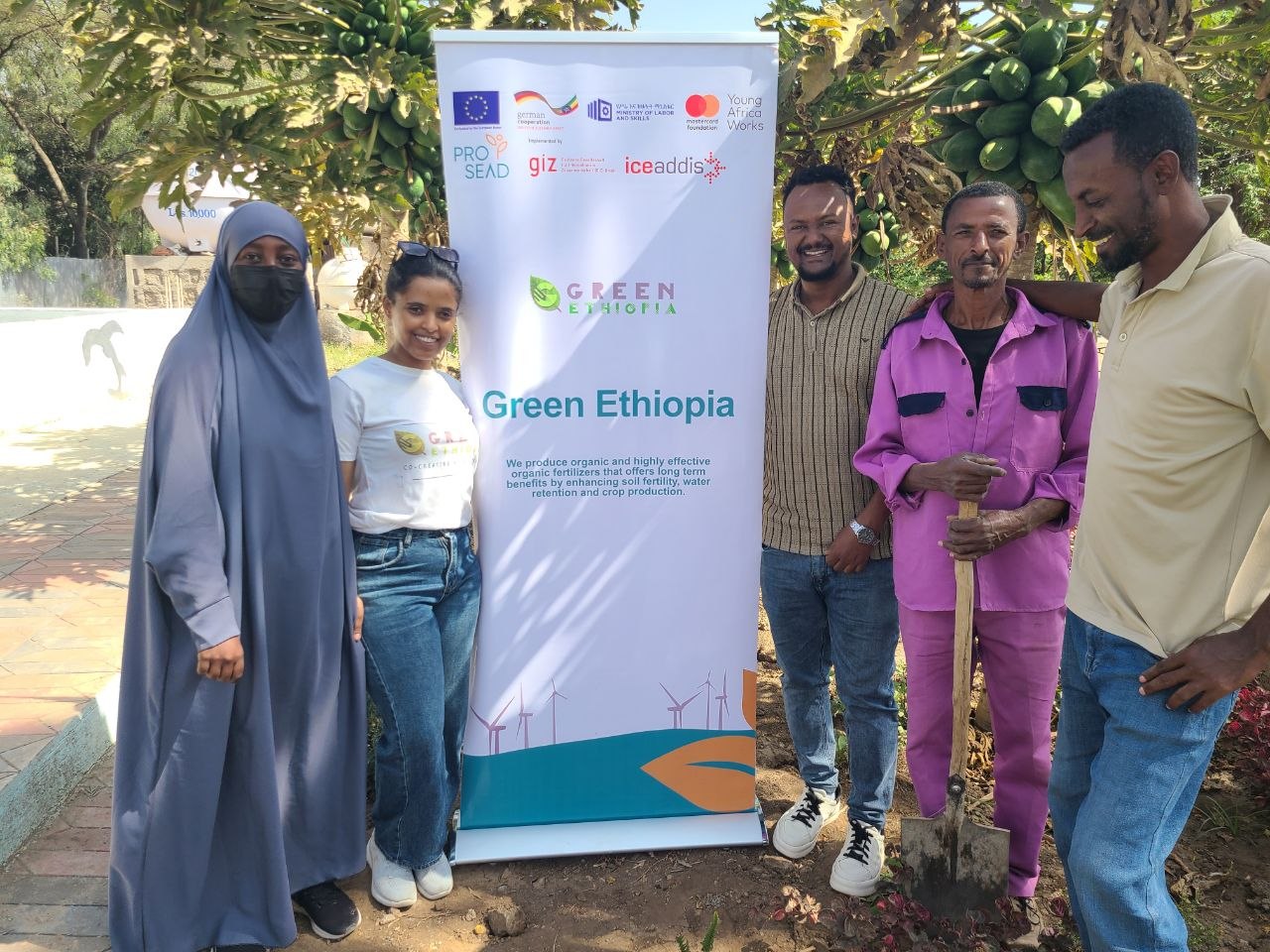 Lush green agricultural fields in Ethiopia