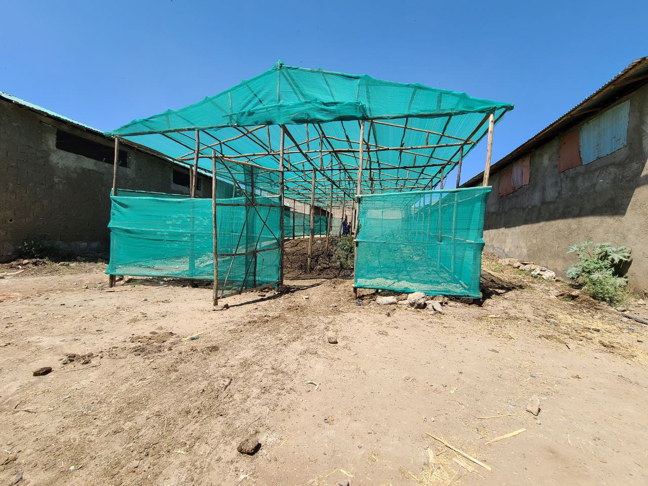 Lush Cultivated Crops