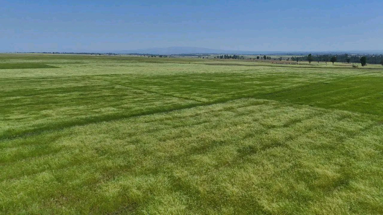 Manufacturing Facility