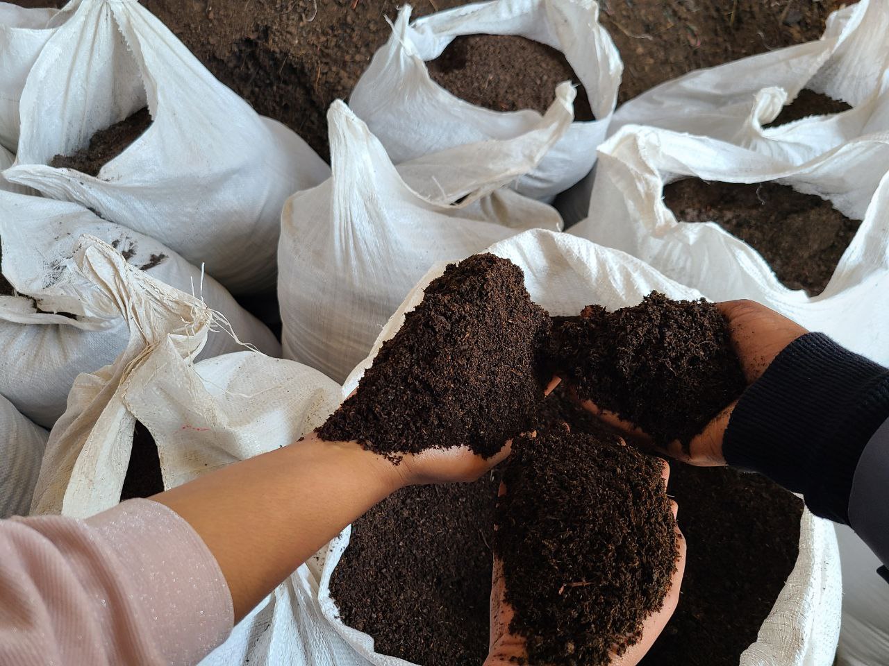 Sustainable farming practices in Ethiopia using Green Ethiopia organic fertilizer